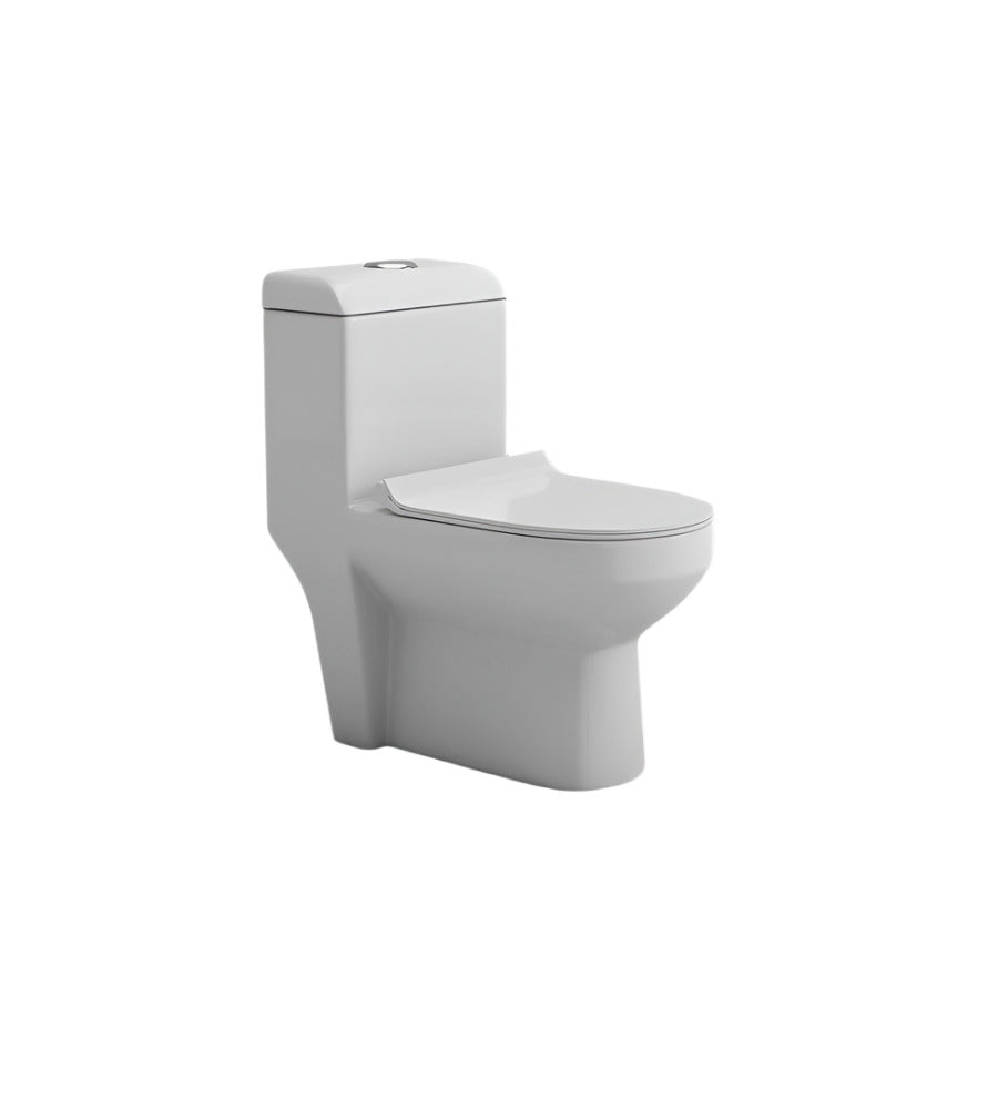 Aqutop 2007(R) One Piece Closet 225MM
