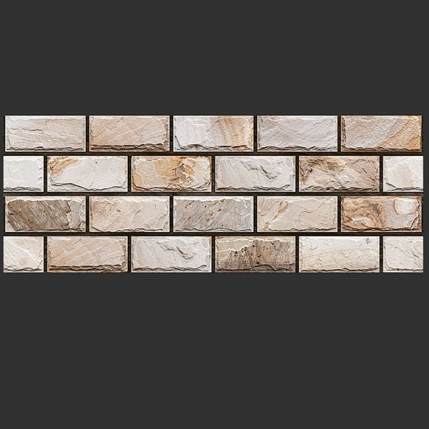 Tile 8X24(200X600MM) 130018