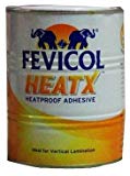 Pidilite Fevicol Heatex 500ML