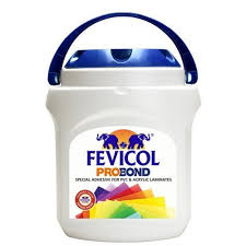 Fevicol Probond Pidilite - 1 Kg