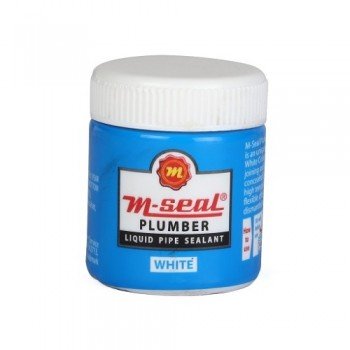Pidilite M-Seal Plumber 100GM