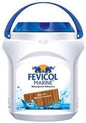 Fevicol Marine Pidilite - 1 Kg
